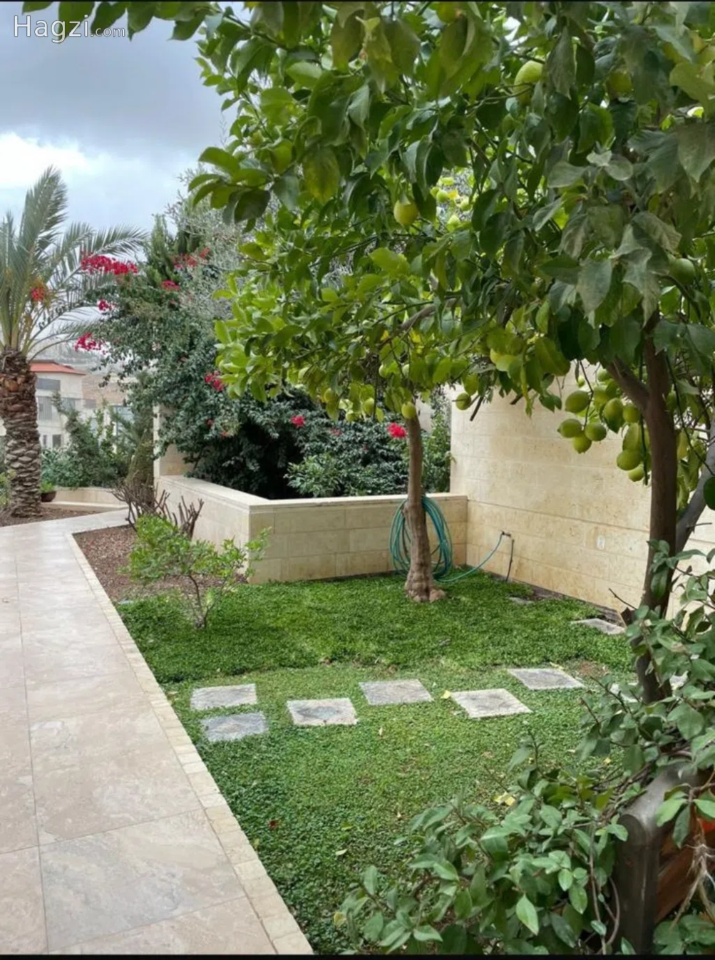 Furnished Apartment to Rent - Image 1