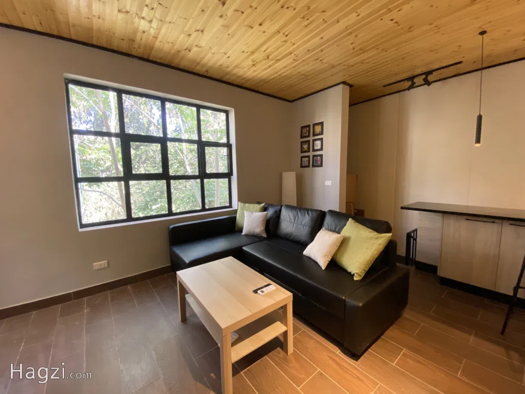 Furnished Apartment to Rent 50sqm - Image 1