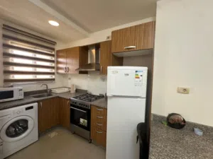 Furnished apartment for rent Dahyet Al Ameer Rashed - Secondary Image 2