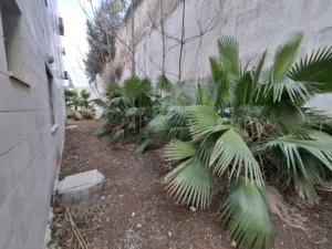 Unfurnished apartment for sale   - Secondary Image 3
