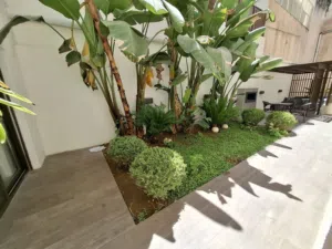 Furnished Apartment to Rent  - Secondary Image 3