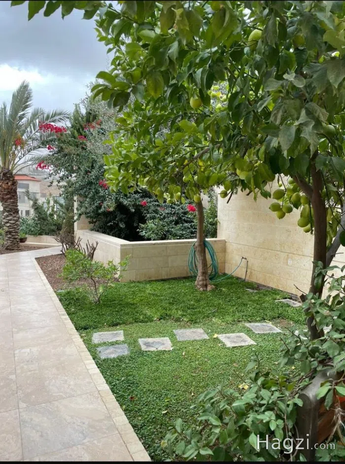 Furnished Apartment to Rent