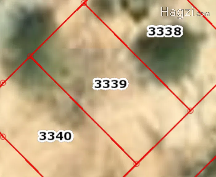 Land for sale near the dead sea 