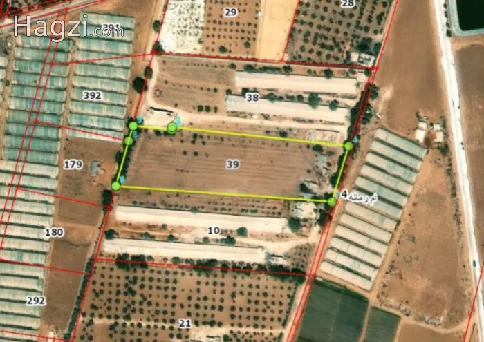 Land for Sale in Umm Rummanah