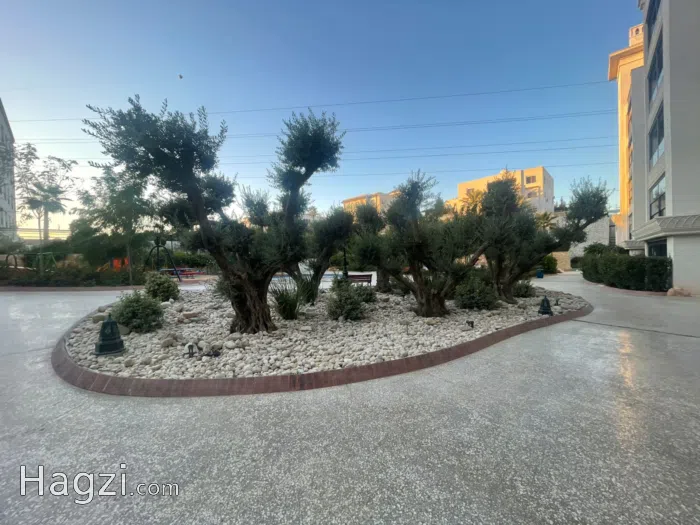 Apartment for rent in Airport Road - Secondary Image 3