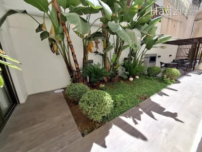 Furnished Apartment to Rent 