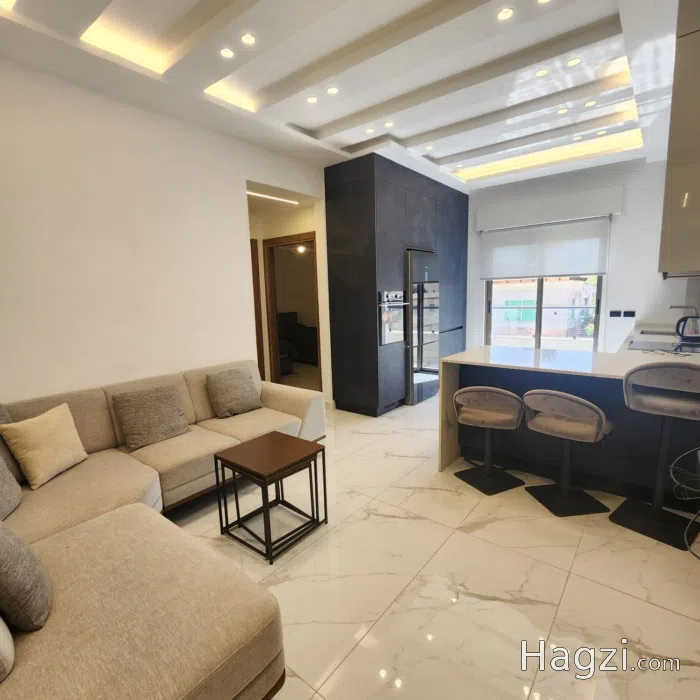 Furnished Apartment For Rent 