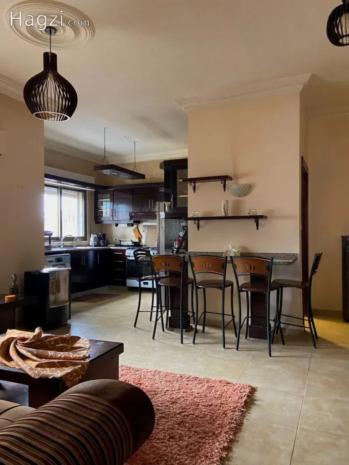 Furnished Apartment For Rent In 7th Circle 